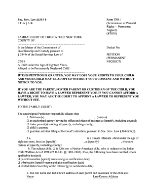 Soc Serv Law 384 B Form TPR 1 FCA614 New York State