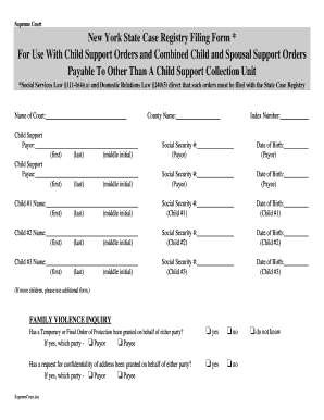 Child and Spousal Support Registration Form New York