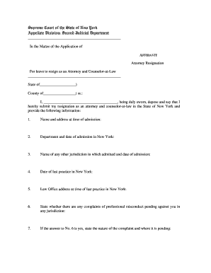 Affidavit Template New York  Form