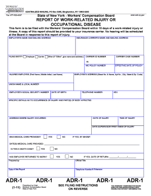 The Adr Ny  Form