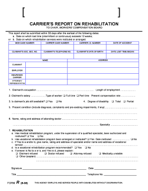 Report Rehabilitation  Form