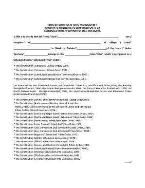 Central Sc Caste Certificate Image  Form