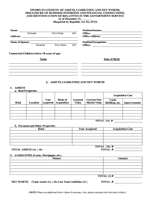 Notarized Statement of Assets and Liabilities  Form