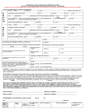 Mcleod County Marriage License  Form