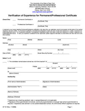 Professional Certificate Form