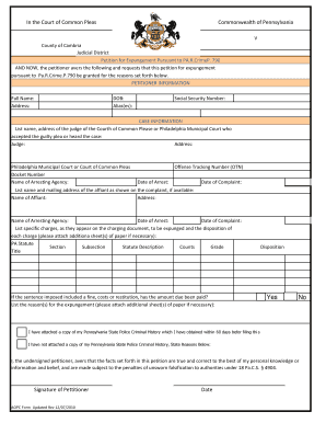 Pa Expungement Form 490