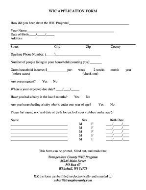 Wic Paper Application  Form