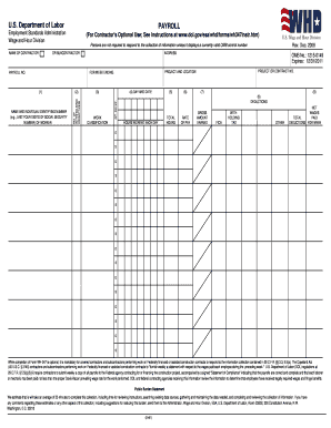 Davis Bacon Payroll Form