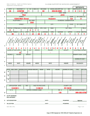 Soc 293  Form