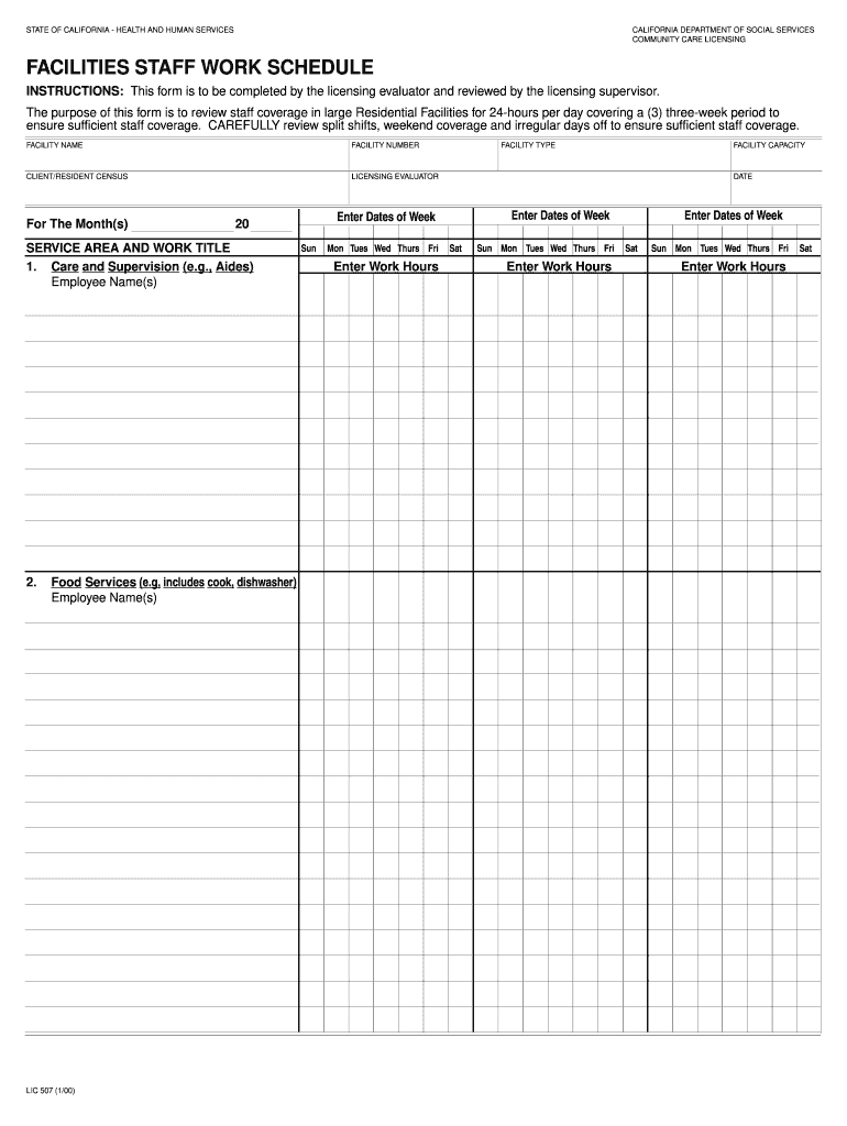 Lic 507  Form