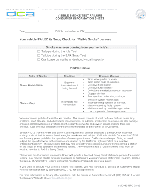 Visible Smoke Test Failure Sheet  Form