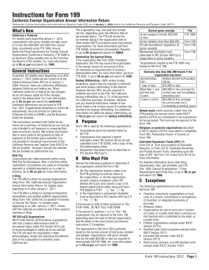 Form 199 General Instructions