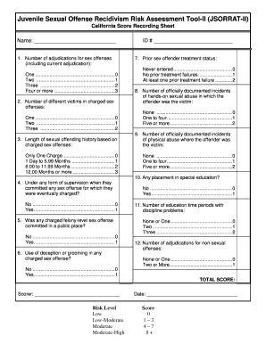 Youth Risk Assessment Template  Form