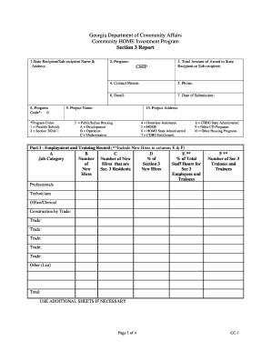 CC 1 Section 3 Report Georgia Department of Community Affairs Dca Ga  Form