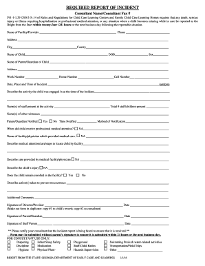 Georgia Report Incident Form