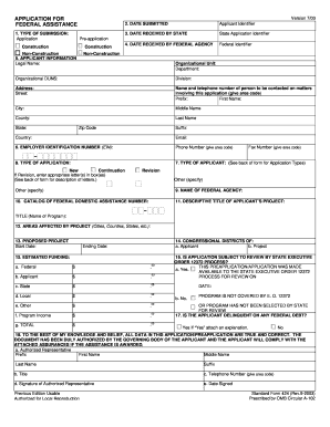 Sf 424c Form Fillable