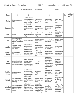 Self Sufficiency Matrix  Form