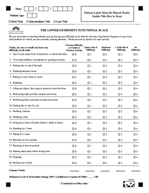  Lower Extremity Functional Scale PDF 2010-2024