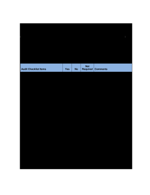 Petty Cash Audit Checklist  Form