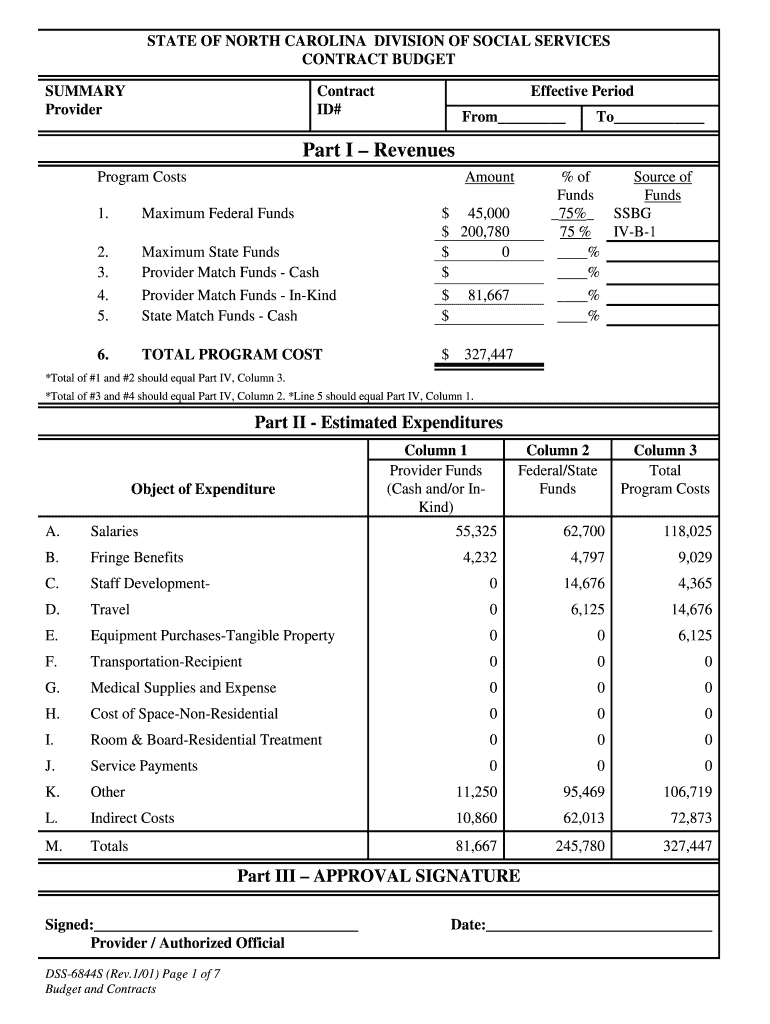 North Carolina Division of Social Services Application for  Form