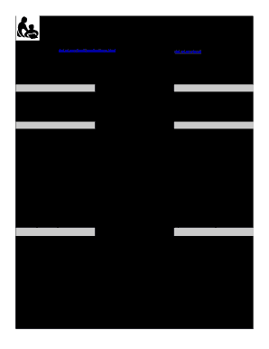 Dpi Form 1613