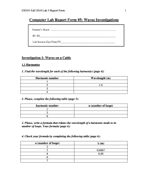 Computer Lab Report Sample  Form