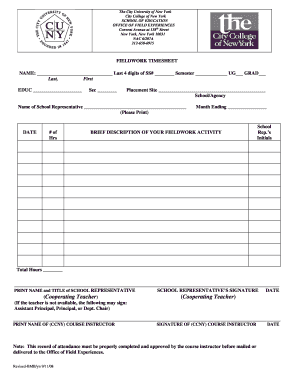  Ccny Fieldwork Timesheet 2008-2024