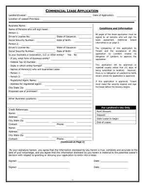 Georgia Commercial Rental Lease Application Questionnaire  Form