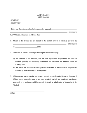 Adjudication Power of Attorney Format