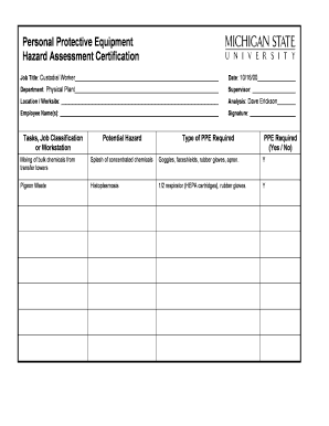 Ppe Issue Record Sheet Template  Form