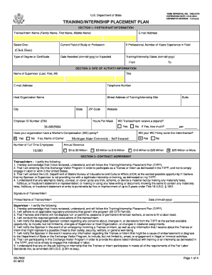 Ds 7002  Form