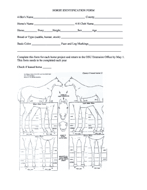 Horse Identification Form