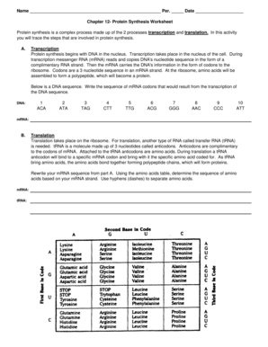 Protein Synthesis Worksheet PDF  Form