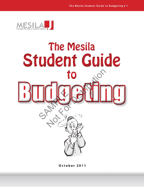Mesila Budgeting  Form