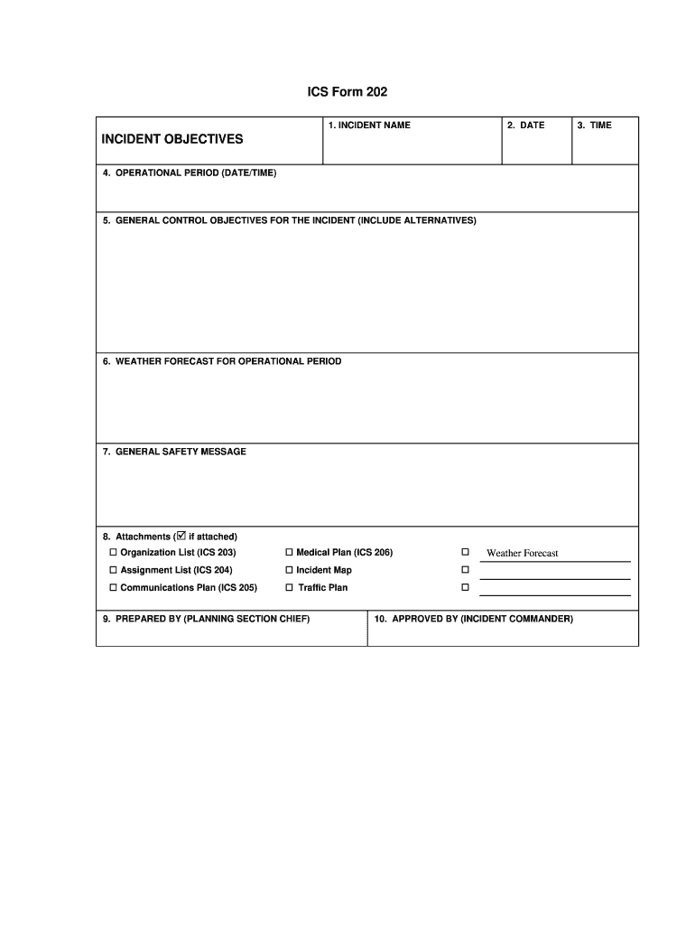 Ics 202  Form