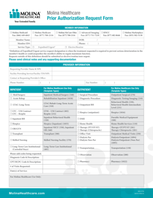 Molina Healthcare Prior Authorization Request Form