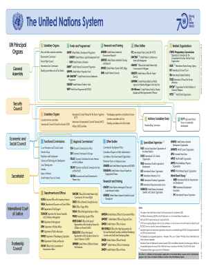 The United Nations System  Form