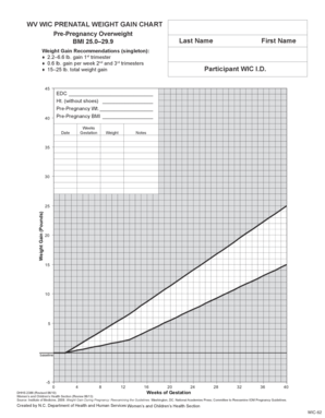 Pregnancy Weight Gain Chart  Form