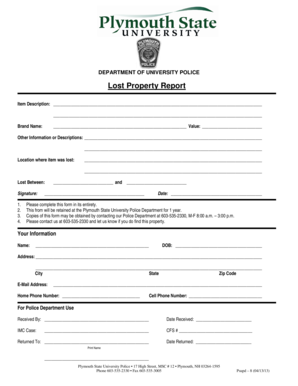 Lost Property Report Word Template  Form