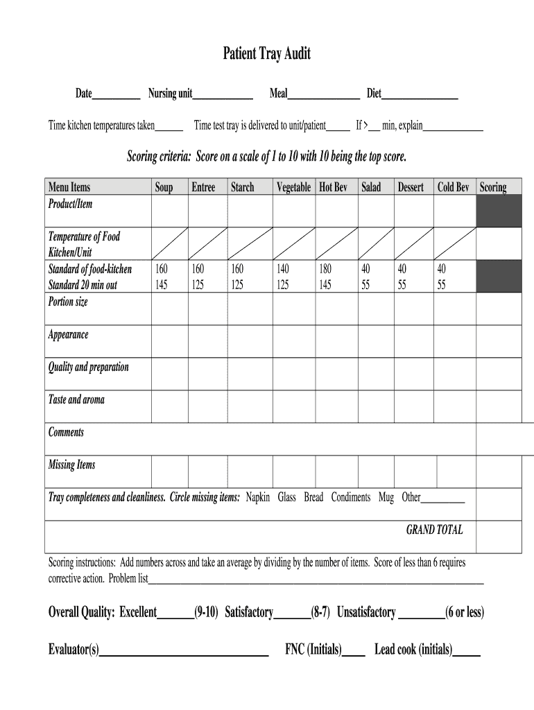 Test Tray Audit Form