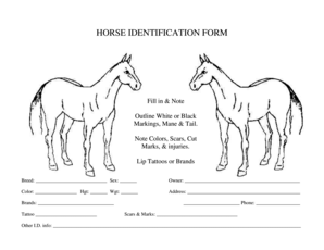 Horse Identification Form