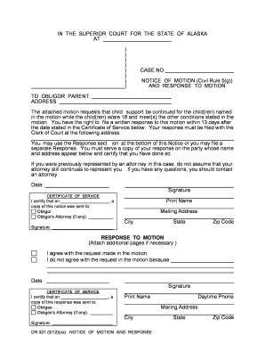 Dr 321  Form