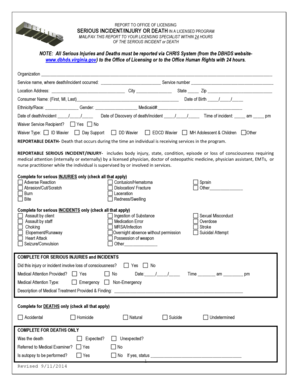 Dbhds Serious Incident Reporting  Form