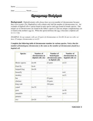 Chromosome Worksheet  Form