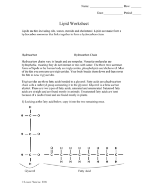 Lipid Worksheet Answer Key  Form