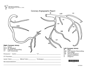 Angiography Report Sample  Form