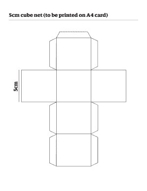 Cube Net A4  Form