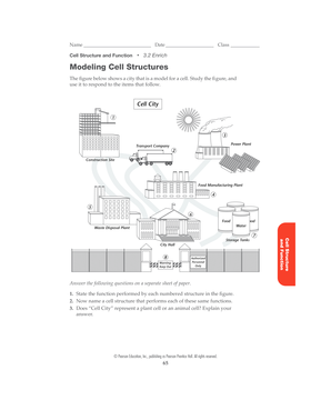 Modeling Cell Structures  Form