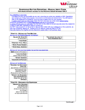 Suspicious Matter Report Example  Form