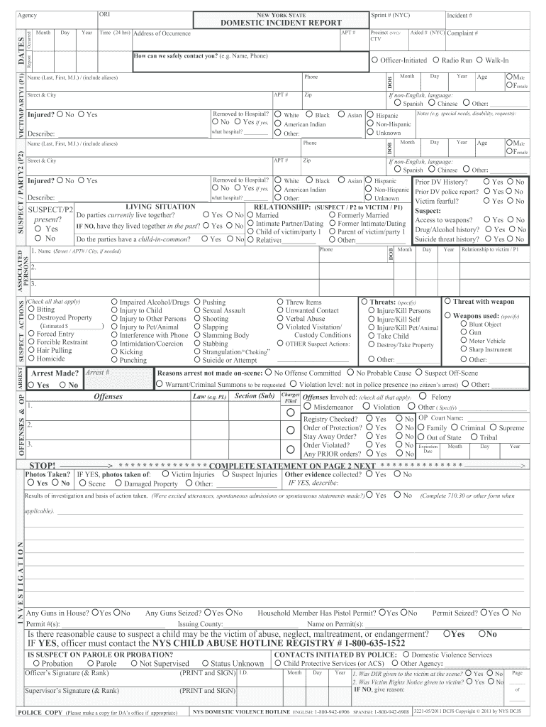 Domestic Incident Report Format